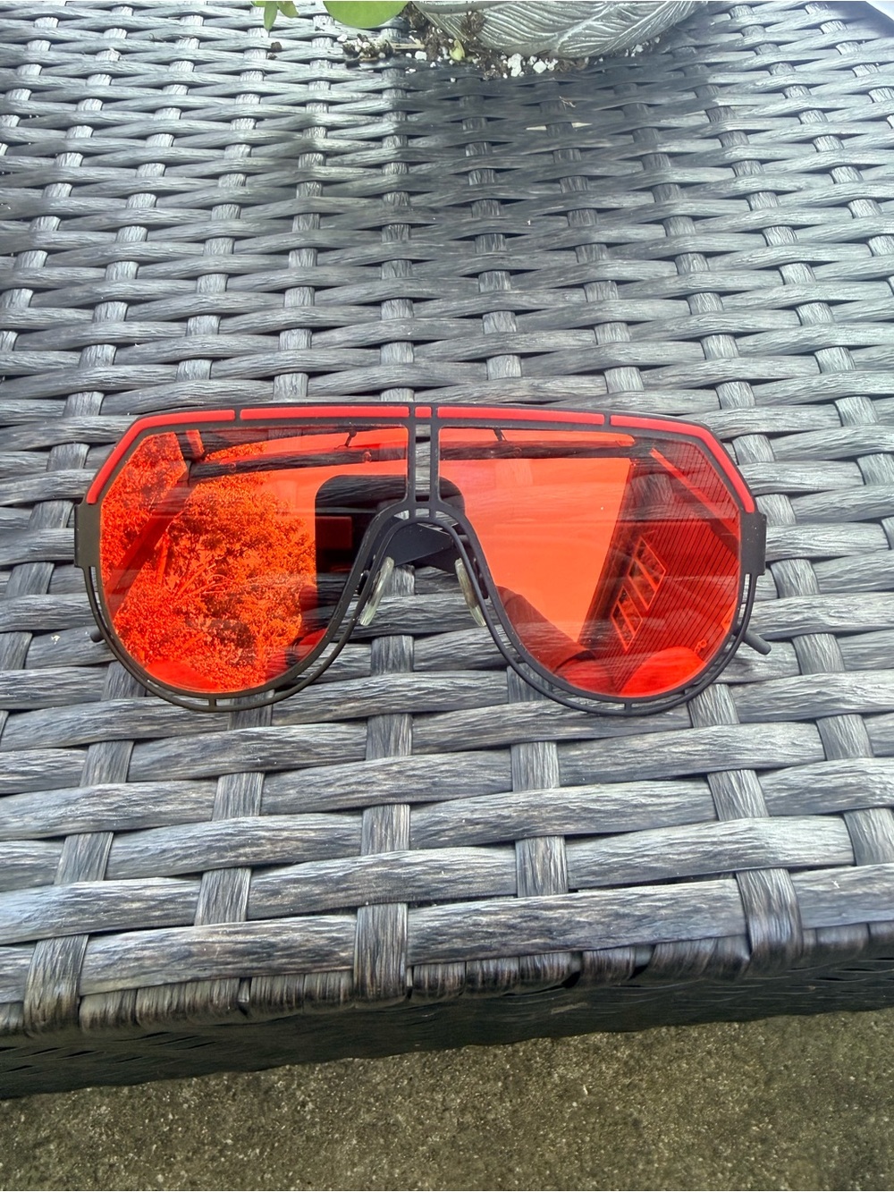 Dolce & Gabbana Sunglasses